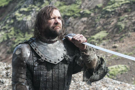 Rory McCann Sandor Clegane TV Show Game Of Thrones HD Desktop Wallpaper | Background Image