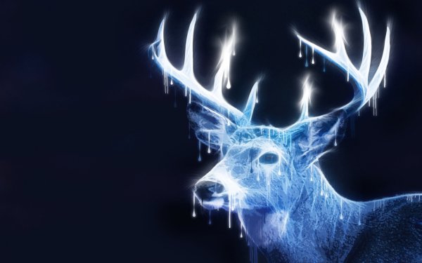 Fantasy Deer Fantasy Animals Light HD Wallpaper | Background Image