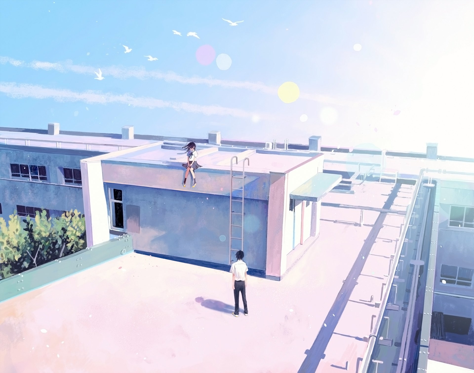 HD anime original artwork featuring two characters on a sunlit rooftop, designed as a vibrant PC desktop wallpaper and background.