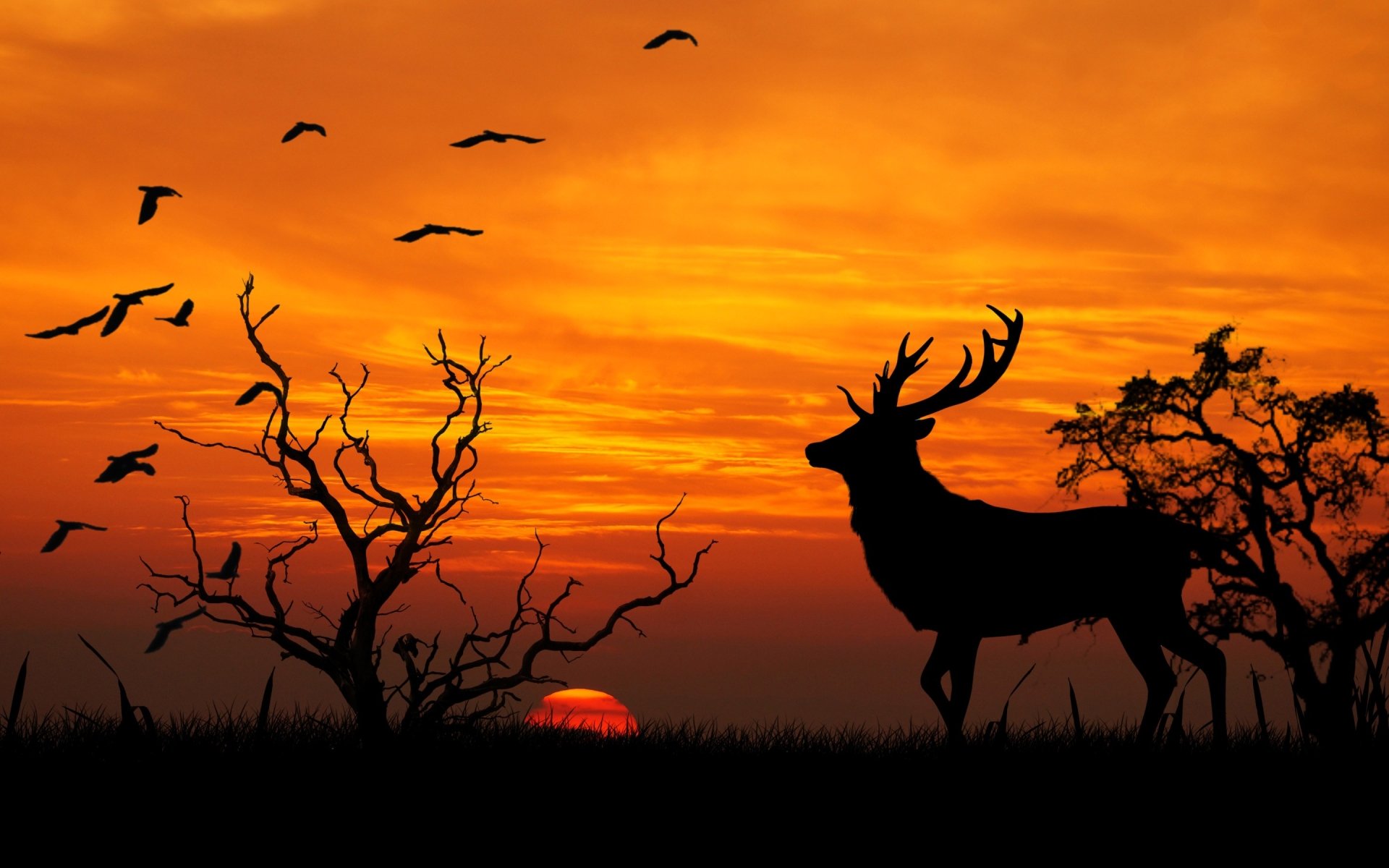 Silhouette of a deer standing among trees and birds against a vibrant sunset sky. HD desktop wallpaper and background.