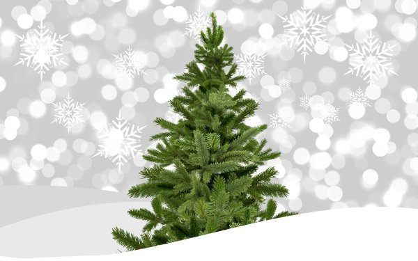 Holiday Christmas Christmas Tree Snowflake HD Wallpaper | Background Image