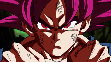  Son Goku