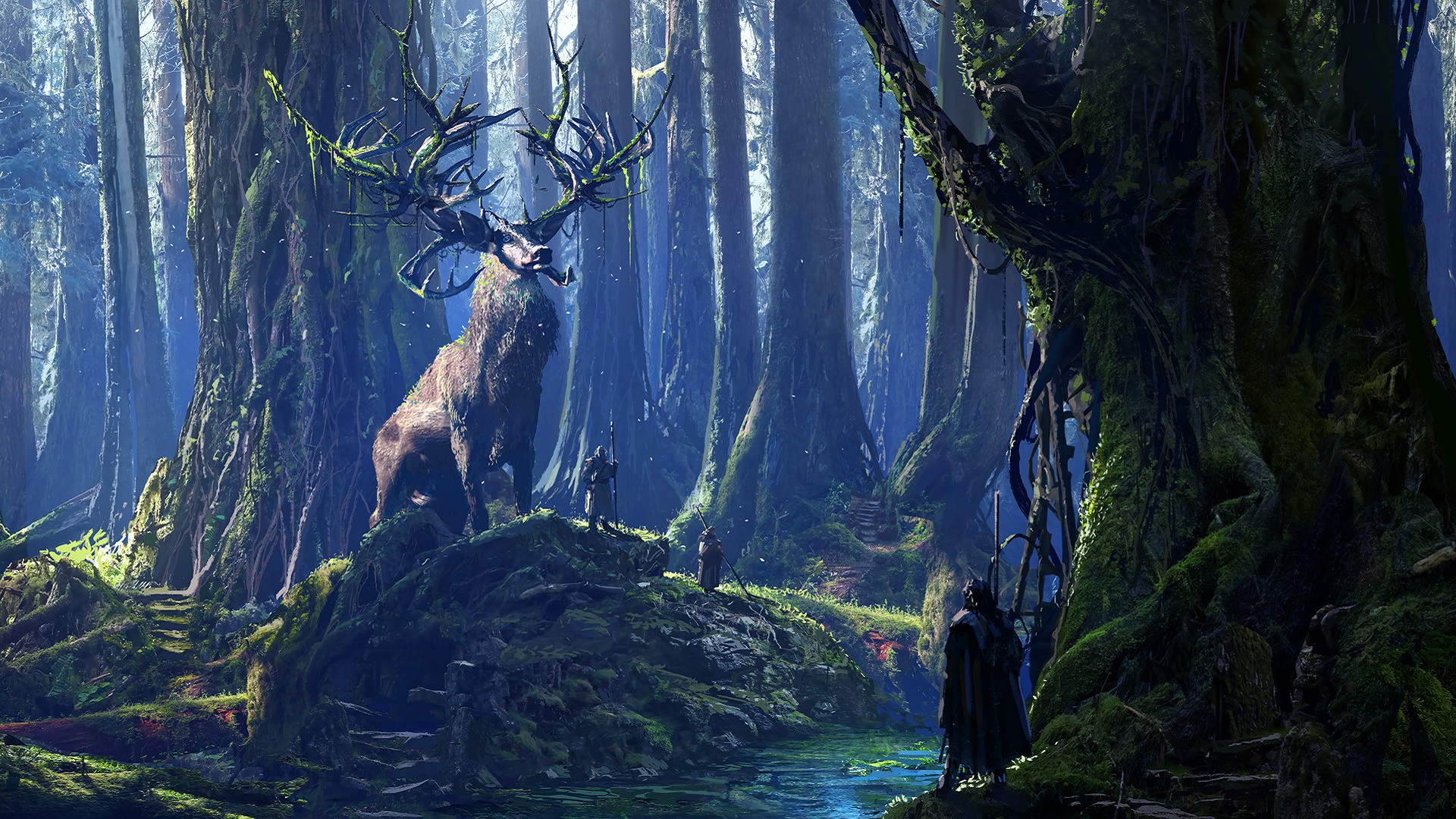 Fantasy Druid HD Wallpaper | Background Image