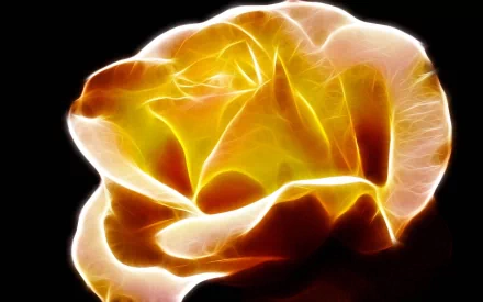 An artistic HD desktop wallpaper featuring an orange fractal rose with glowing petals on a dark background.
