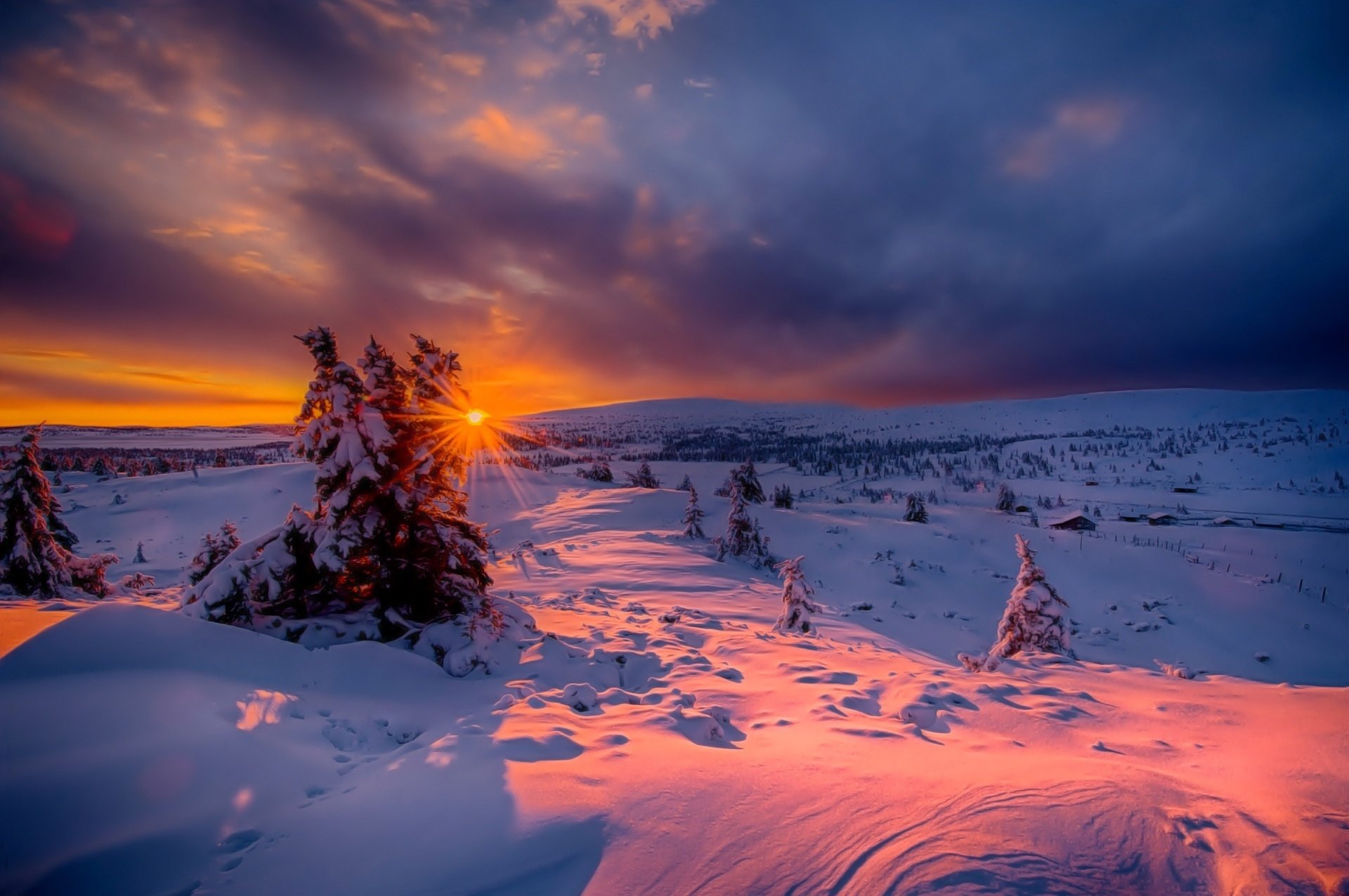 HD PC desktop wallpaper featuring a winter landscape with snow-covered trees under a vibrant sunset sky, capturing the serene beauty of nature in winter.