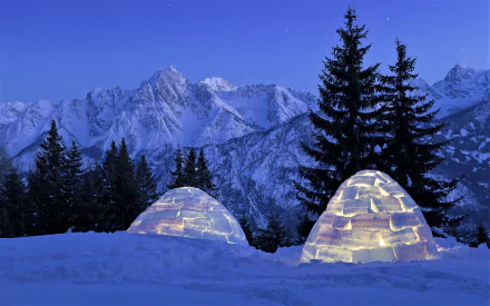 Snow-covered igloos illuminated at night stand in front of tall pine trees with a backdrop of snowy mountain peaks under a clear winter sky.