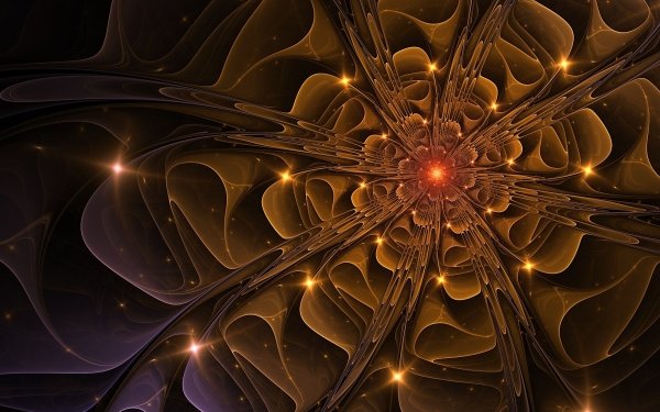 Abstract Fractal Flower HD Wallpaper | Background Image