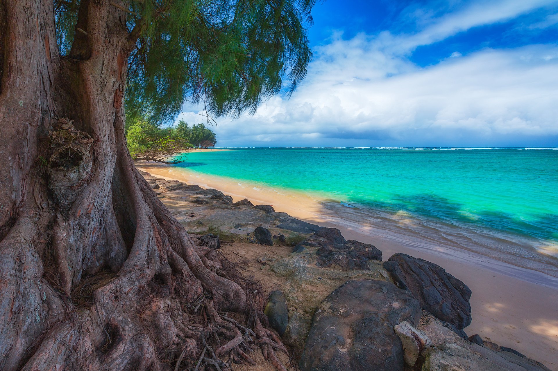 HD desktop wallpaper: Thailand's turquoise sea meeting a sandy beach beneath a sprawling banyan tree, rocky shoreline and distant horizon under a blue sky.