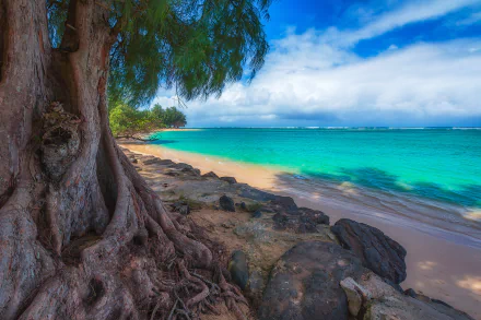 HD desktop wallpaper: Thailand's turquoise sea meeting a sandy beach beneath a sprawling banyan tree, rocky shoreline and distant horizon under a blue sky.