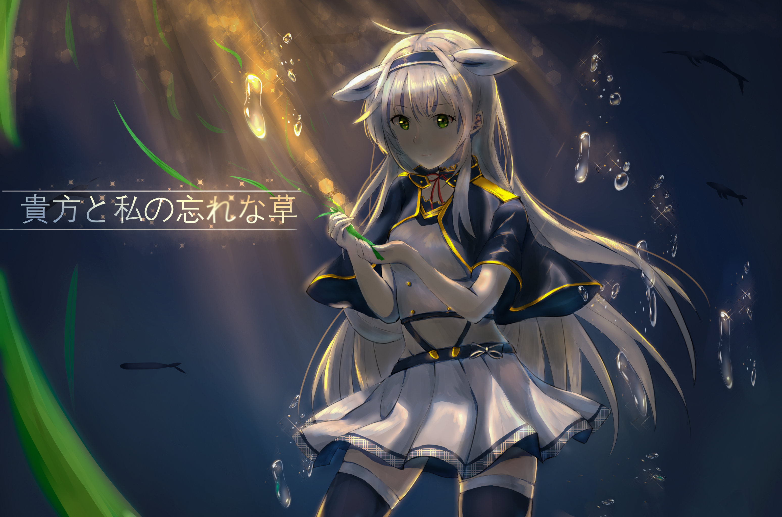 139 Rokudenashi Majutsu Koushi To Akashic Records HD Wallpapers, Background Images - Wallpaper Abyss - Page 2