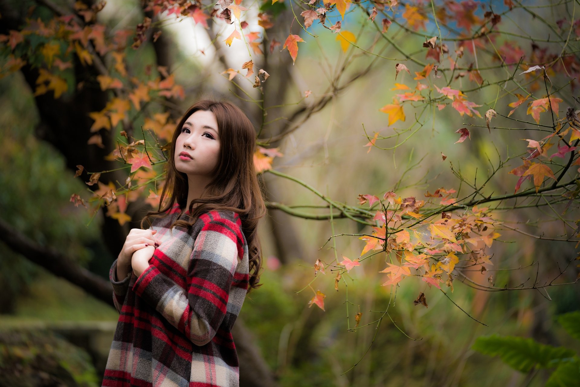 Brunette Asian woman model in a plaid coat among autumn leaves, shallow depth of field. 4K Ultra HD PC desktop wallpaper and background.