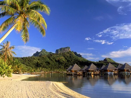 A serene beach scene featuring a palm tree, crystal-clear ocean, and thatched-roof huts against a backdrop of lush mountains, captured in vivid HD for a tranquil holiday atmosphere.