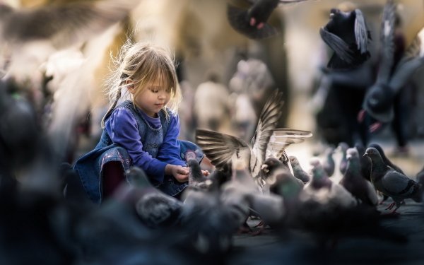 Photography Child Little Girl Depth Of Field Pigeon Bird HD Wallpaper | Background Image