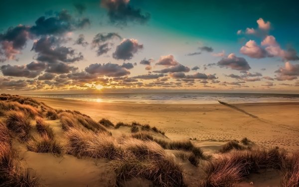 Earth Beach Nature Sand Sky Cloud Ocean Horizon Sunset HD Wallpaper | Background Image
