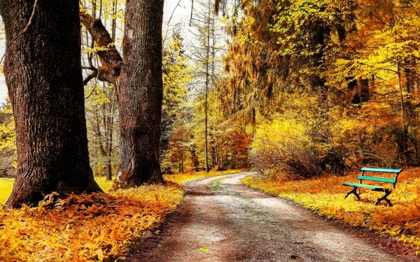 Earth Path Nature Bench Park Fall HD Wallpaper | Background Image