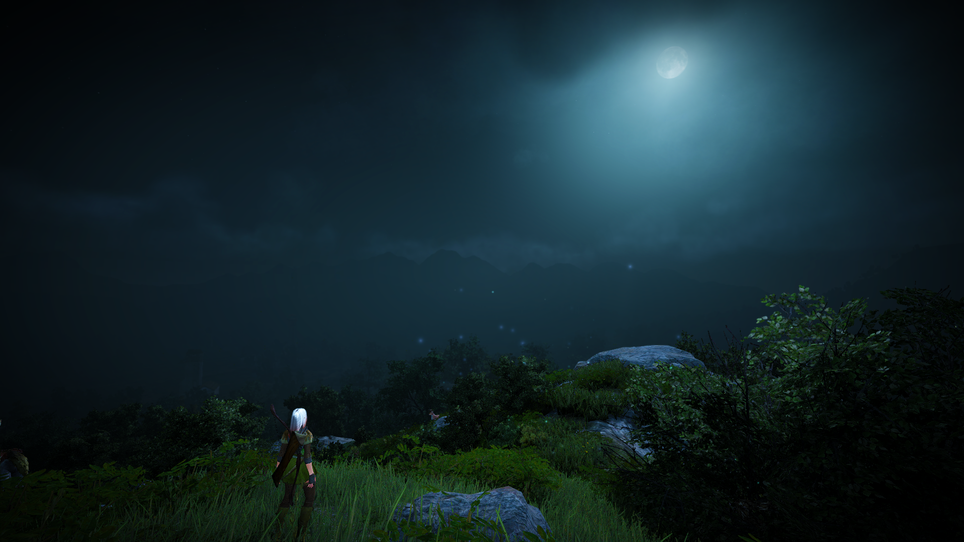HD PC desktop wallpaper/background from the video game Black Desert Online — lone figure on a grassy hill beneath a moonlit, fog-shrouded night sky.