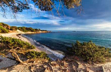 2K Quad HD desktop wallpaper: panoramic Corsica, France coastline — sandy beach, scrubby vegetation and turquoise Mediterranean sea meeting the horizon under a dramatic sky.