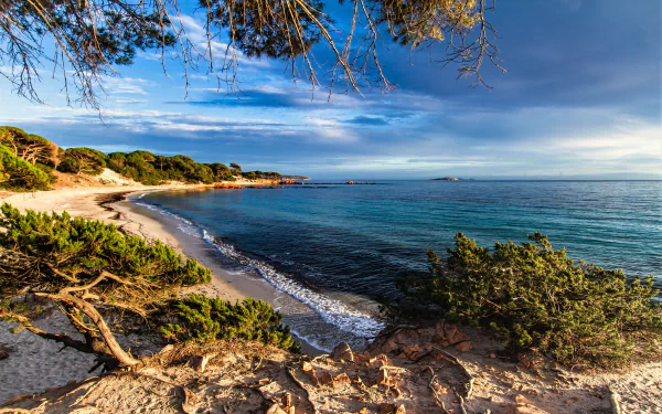 2K Quad HD desktop wallpaper: panoramic Corsica, France coastline — sandy beach, scrubby vegetation and turquoise Mediterranean sea meeting the horizon under a dramatic sky.