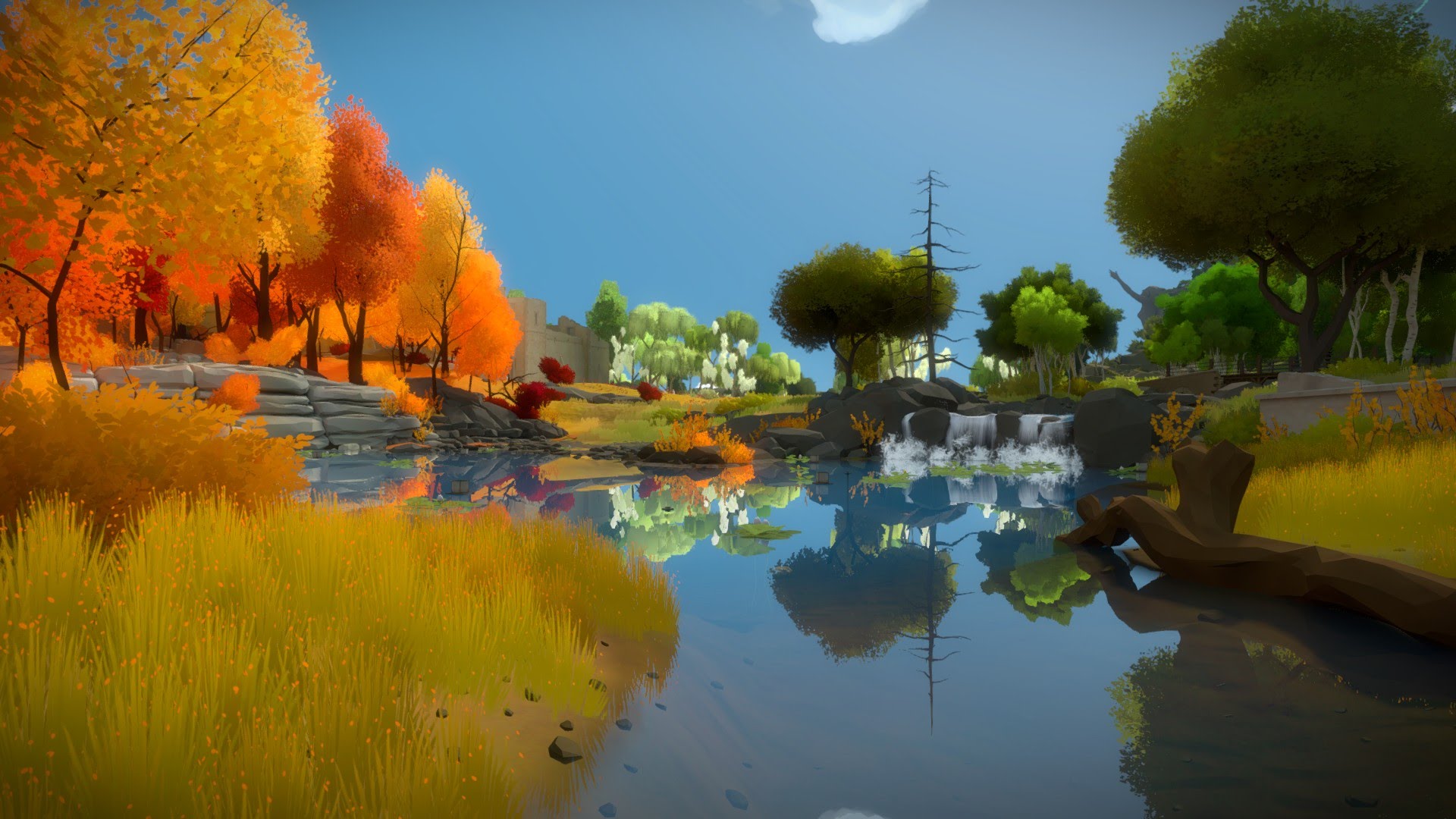 The witness загадка с цветами