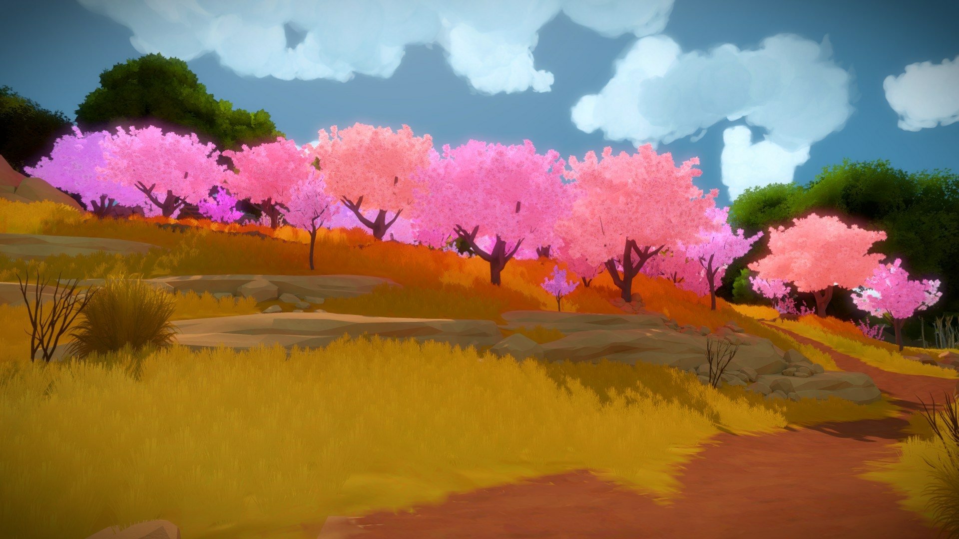 Download Video Game The Witness HD Wallpaper