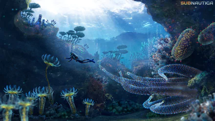 HD wallpaper for Subnautica video game, featuring an underwater scene with a diver exploring vibrant aquatic plants and creatures in a sunlit ocean cavern.