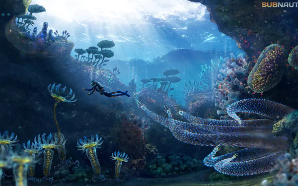 HD wallpaper for Subnautica video game, featuring an underwater scene with a diver exploring vibrant aquatic plants and creatures in a sunlit ocean cavern.