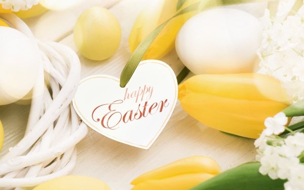 Holiday Easter Happy Easter Tulip Egg HD Wallpaper | Background Image
