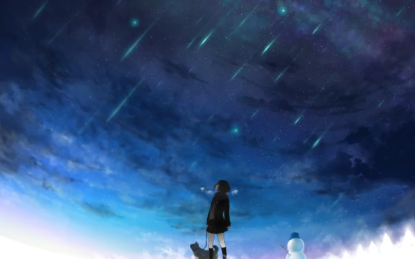 A serene winter night anime scene showing a girl with a dog under a starry sky with falling meteors. The image is a HD desktop wallpaper tagged with winter, ice, meteor, sky, star, dog, and Anime.