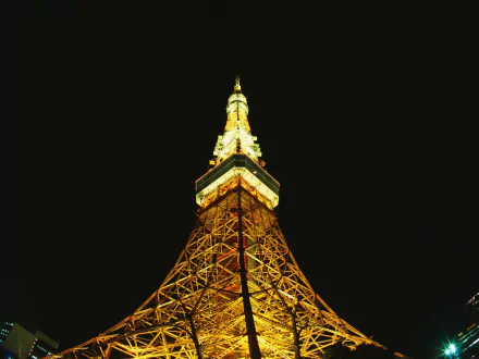  Tokyo Tower Lights