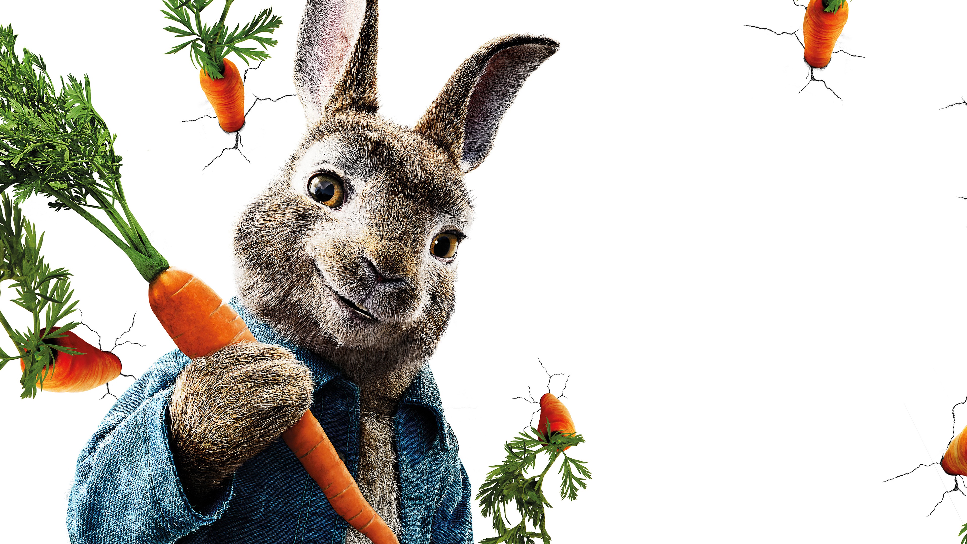 Peter Rabbit 4k Ultra HD Wallpaper