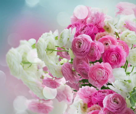 HD desktop wallpaper featuring a vibrant bouquet of pink and white ranuncula flowers against a soft, natural background.