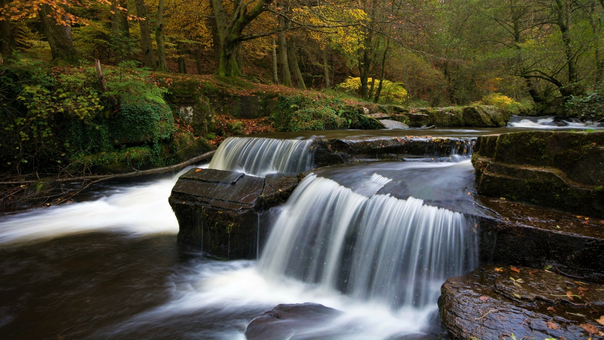 Download Forest River Nature Waterfall 4k Ultra HD Wallpaper ...