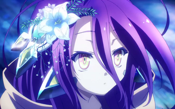 HD desktop wallpaper featuring Shuvi Dola from No Game No Life, showcasing her with purple hair, expressive eyes, and adorned with a beautiful white flower.