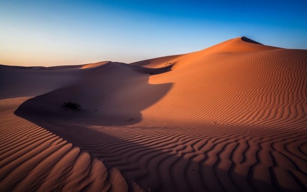 Earth Desert Nature Sand Dune Landscape HD Wallpaper | Background Image