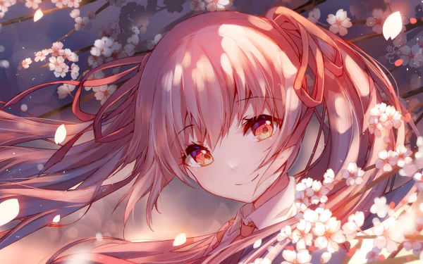 HD anime-style wallpaper featuring Sakura Miku from Vocaloid, surrounded by blooming cherry blossoms with vibrant pink hues and soft lighting effects.