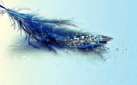 Sparkling water droplets on a delicate blue feather against a soft gradient background for HD desktop wallpaper.