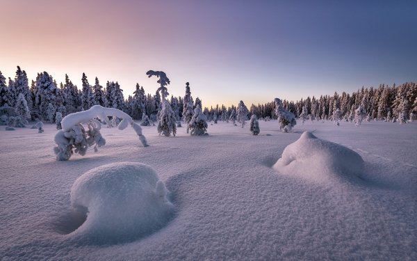 Earth Winter Nature Snow HD Wallpaper | Background Image