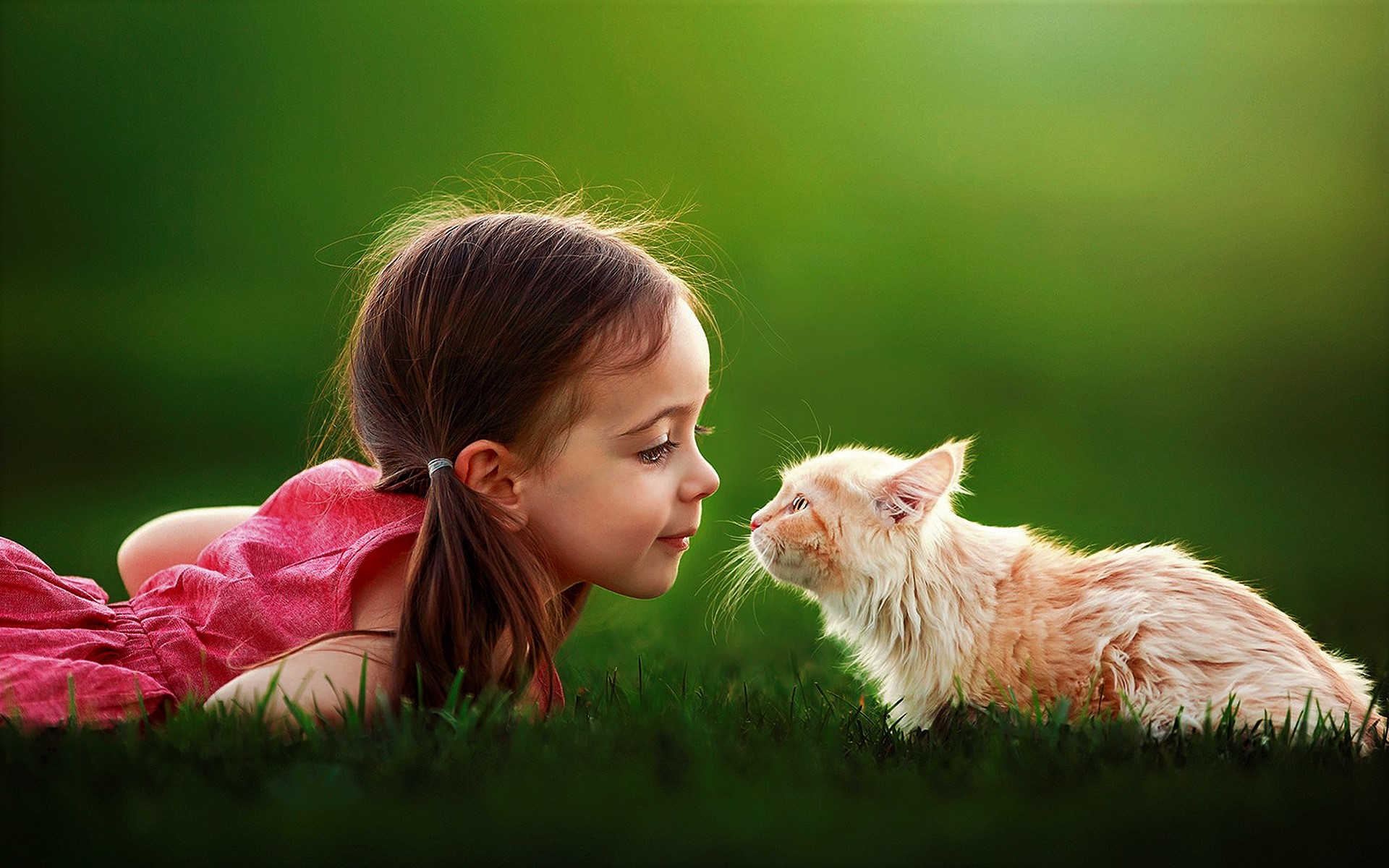Little Girl and Cat HD Wallpaper | Background Image | 1920x1200