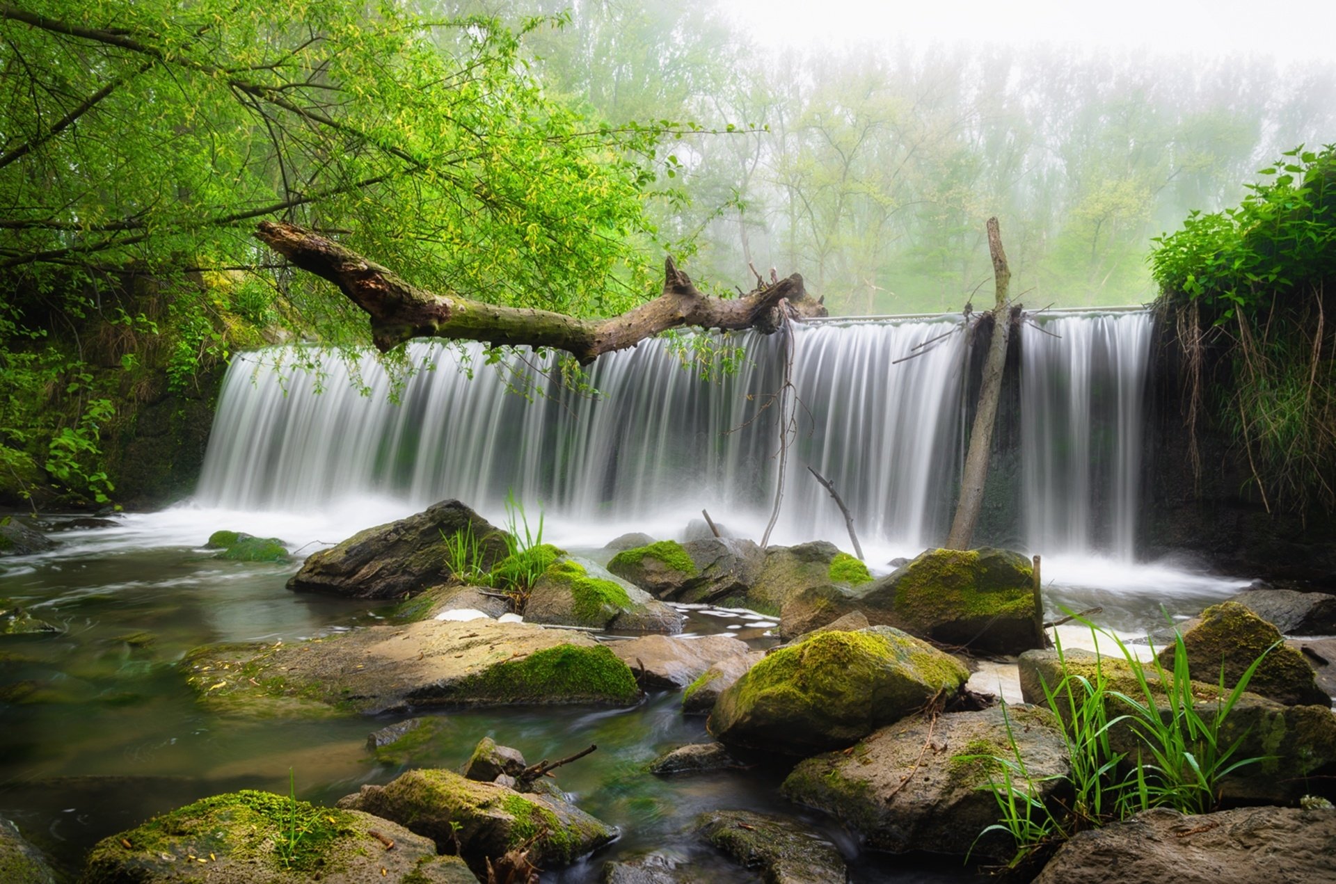 Download Greenery Nature Waterfall HD Wallpaper
