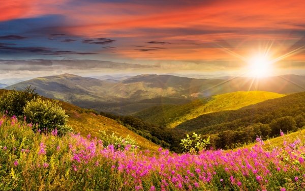 Tierra/Naturaleza Paisaje Naturaleza Cielo Montaña Prado Pink Flower Amanecer Fondo de pantalla HD | Fondo de Escritorio