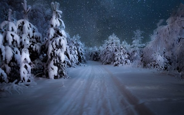 Earth Night Starry Sky Stars Winter Snow Tree Path HD Wallpaper | Background Image