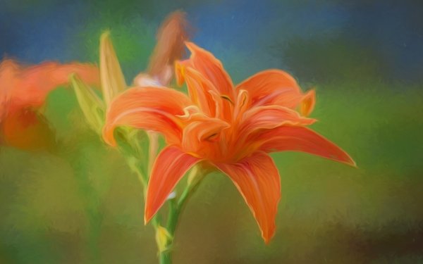 Nature Lily Flowers Flower Orange Flower Oil Painting Daylily HD Wallpaper | Background Image