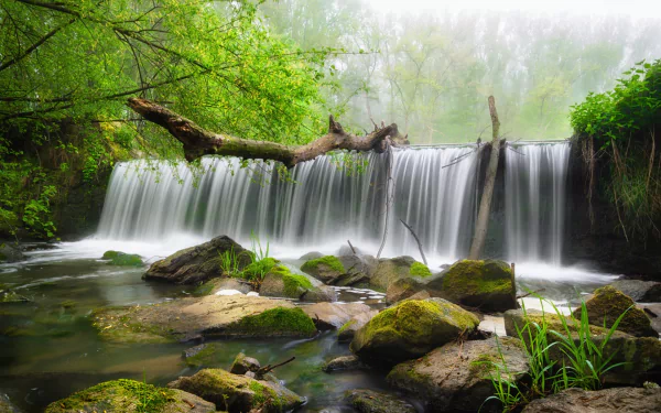 greenery nature waterfall HD Desktop Wallpaper | Background Image