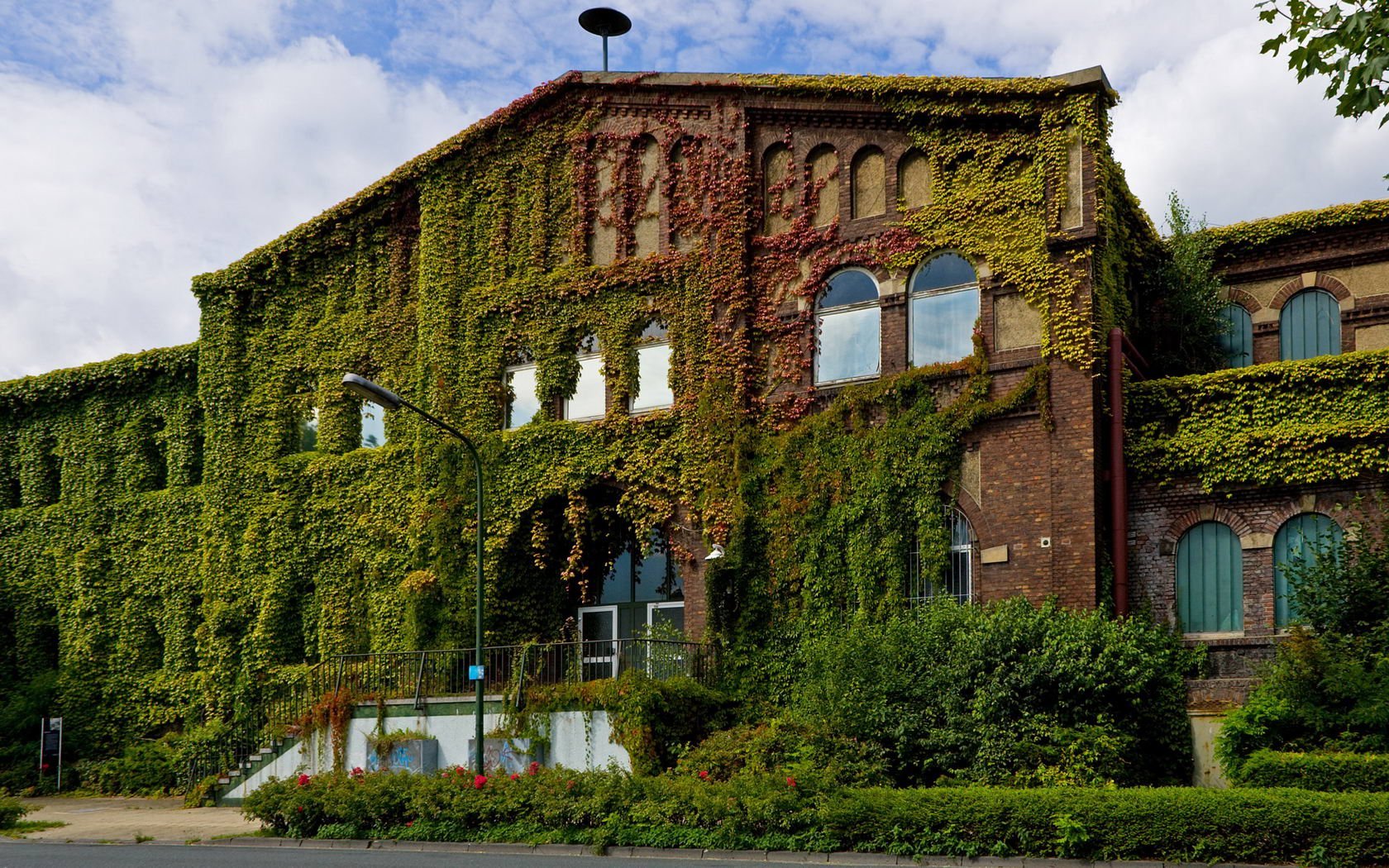 A lushly overgrown building, its walls adorned with vibrant ivy and greenery, creates a striking visual for a high-definition PC desktop wallpaper and background.
