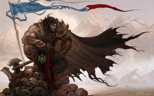 Fantasy Warrior Armor Skull Axe Weapon Banner HD Wallpaper | Background Image
