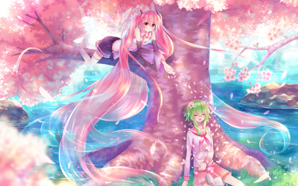 Anime Vocaloid GUMI Sakura Miku HD Wallpaper | Background Image