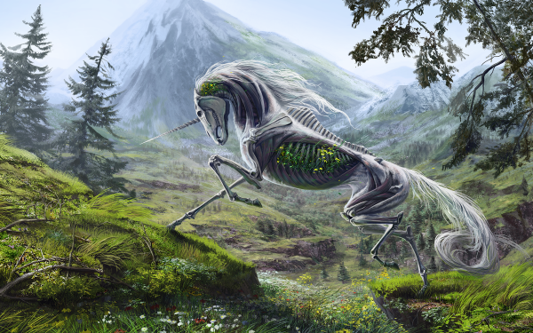 Fantasy Creature Dark Unicorn Undead HD Wallpaper | Background Image