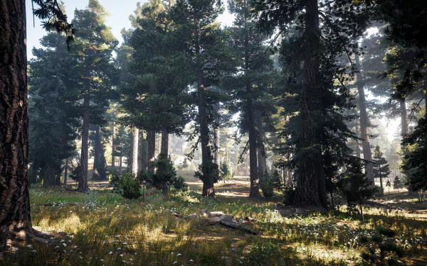 4K Ultra HD PC wallpaper featuring a dense forest scene from the Far Cry 5 video game, showcasing detailed trees and natural lighting.