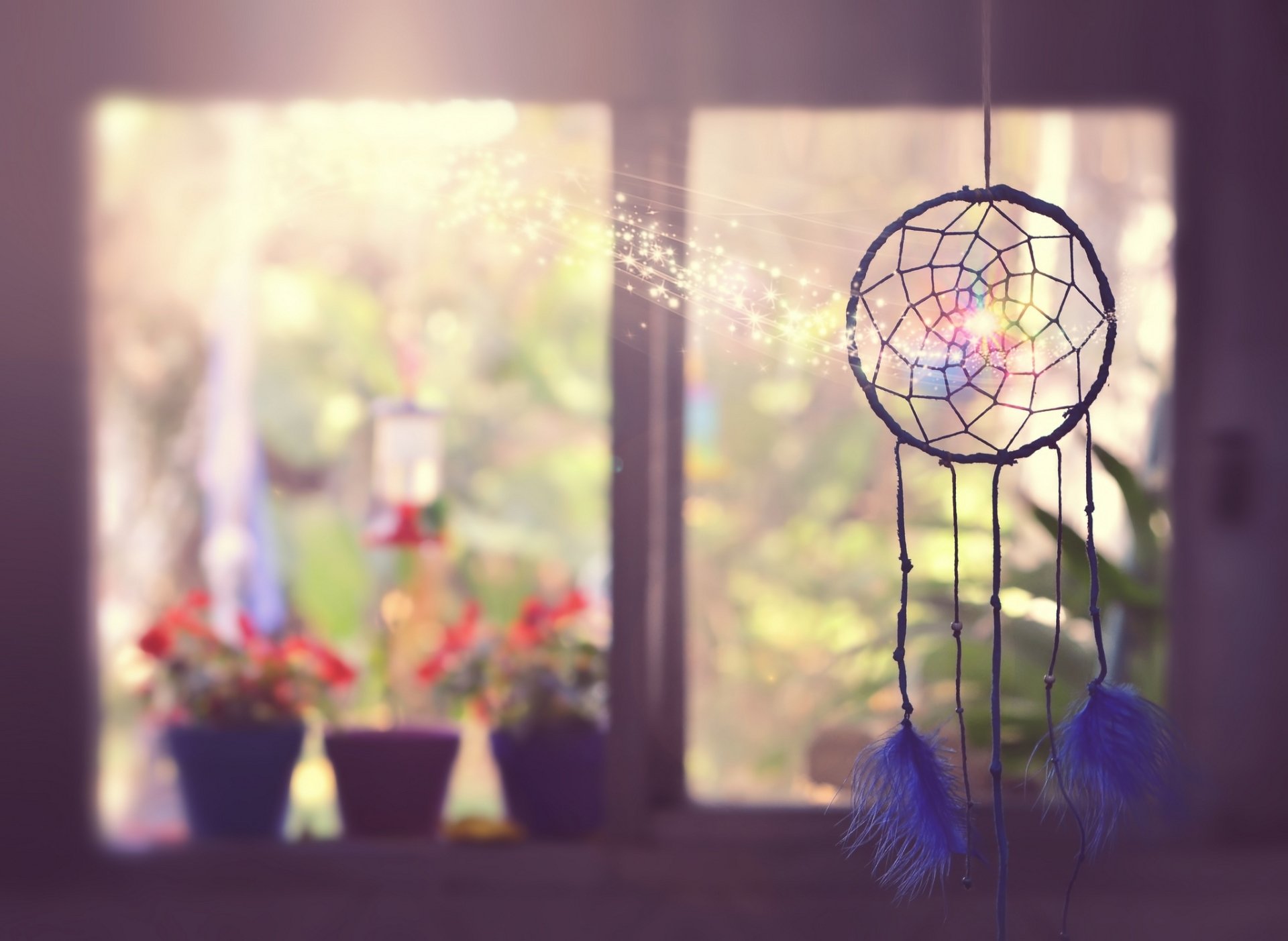 A dreamcatcher suspended indoors with soft sunbeams filtering through a window, creating a serene still life scene captured with depth of field in HD.