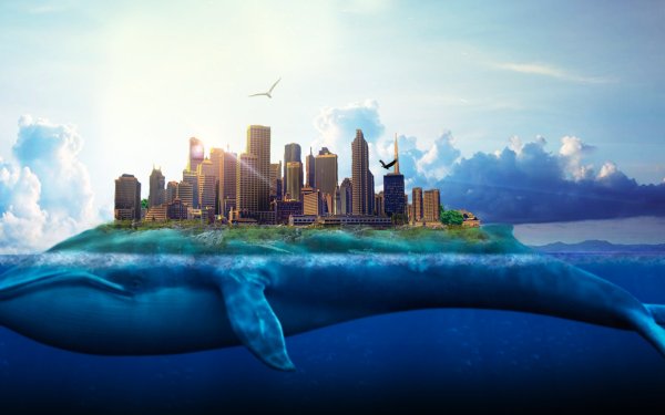 Fantasy Whale Fantasy Animals City Nature Giant HD Wallpaper | Background Image